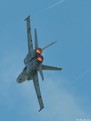 F/A-18 Hornet