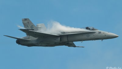 F/A-18 Hornet