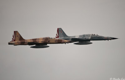 F-5 formation - VFC-111 Sundowners