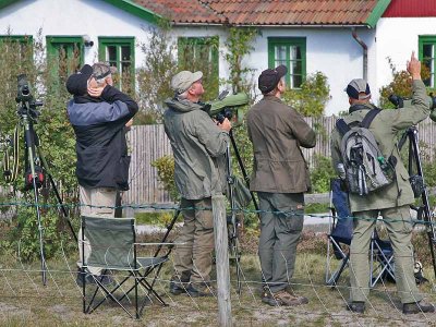 Birdwatchers