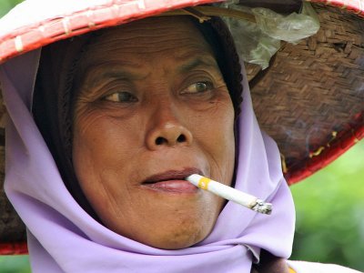 Lady tea picker in Java - Indonesia