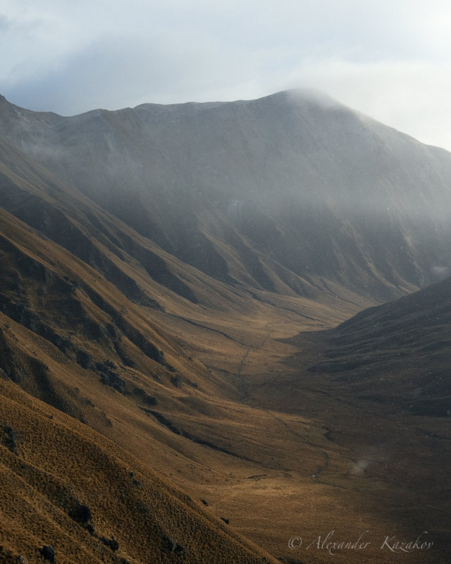 NZL_2BR7658.jpg