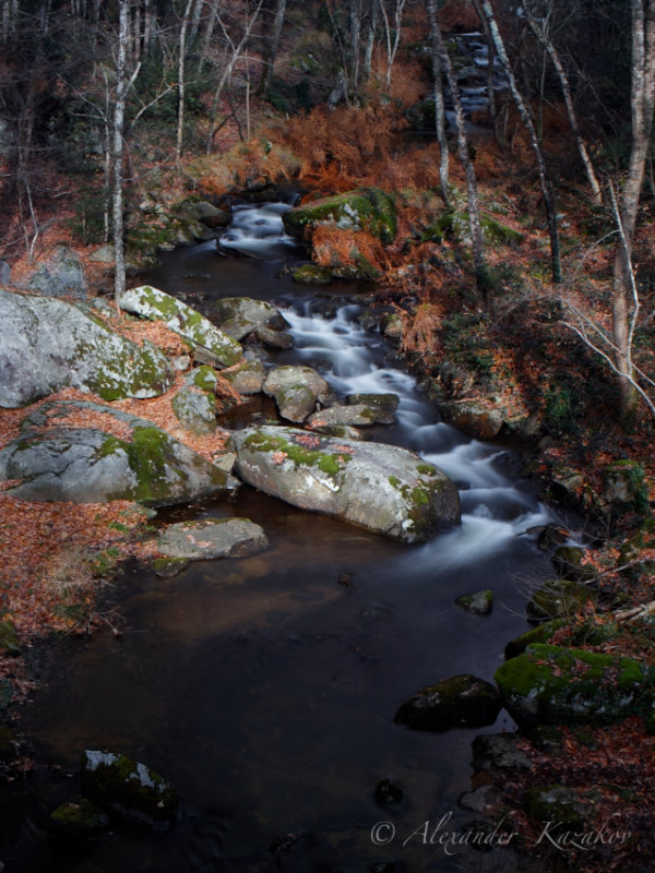 FRA_12__2BR0269.jpg