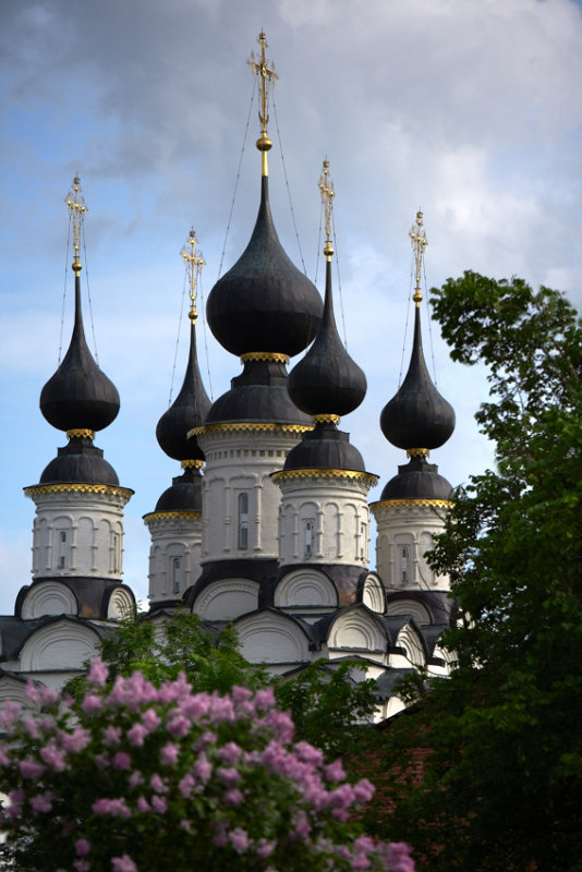 RUS_2BR2676.jpg