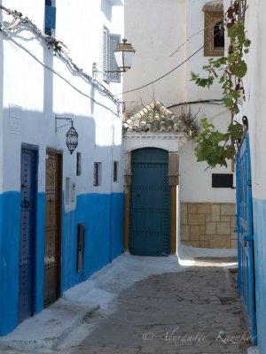 MAR__2BR8959.jpg