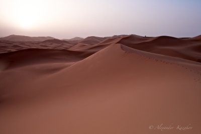 MAR__2BR9420.jpg