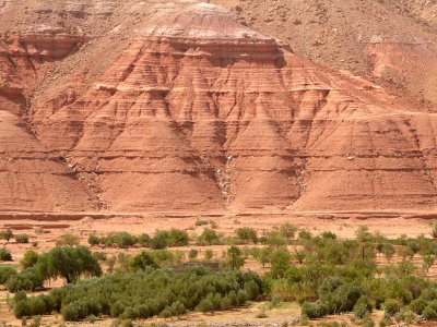 MAR__MG_0070.jpg