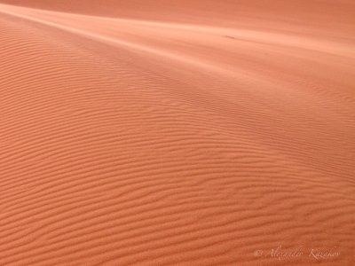 MAR__MG_9821.jpg