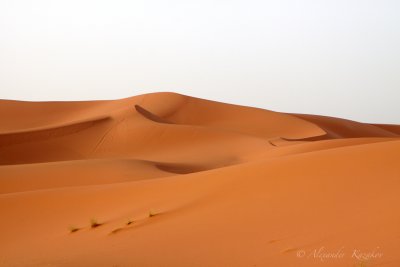 MAR__MG_9873.jpg