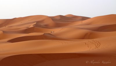MAR__MG_9879.jpg