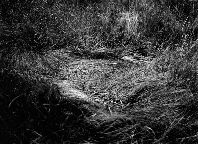 found and lost