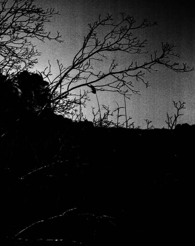 daylight dark