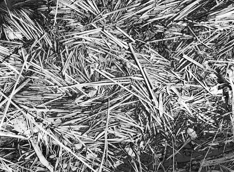 sticks and stuff