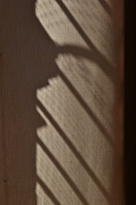 Untitled 1, Venice, 2011.jpg