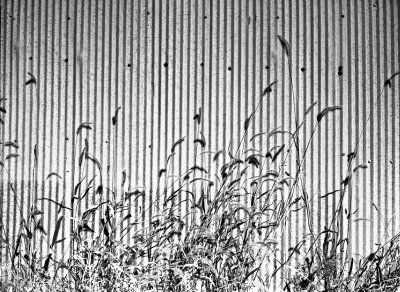 Corrugated aluminum and grasses, Atchison Train Museum, 2010.jpg