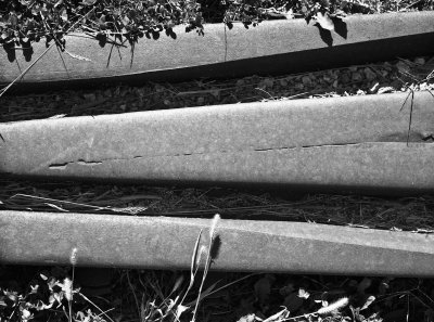 Rails, 2010.jpg