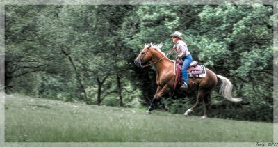 Horse show at Lignol