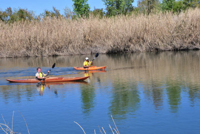 Kayakers