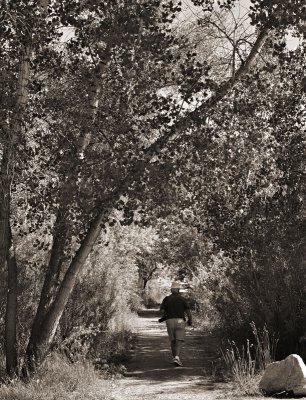 down-the-path