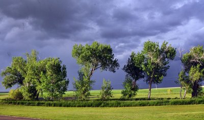 g4/25/921525/3/135719750.EpMA0nJW.jpg
