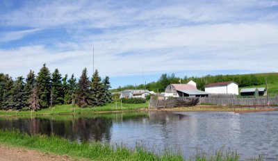 Blomme Ranch
