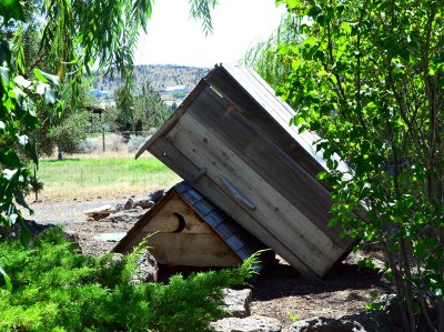Roof-on-and-toilet-blown-ov.jpg