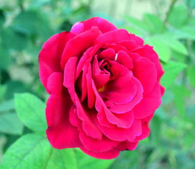 g4/25/921525/3/137535405.1hTRu89U.jpg