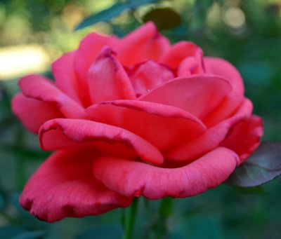 g4/25/921525/3/137535544.NmrFKGAM.jpg