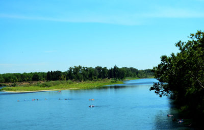 Sacramento-River