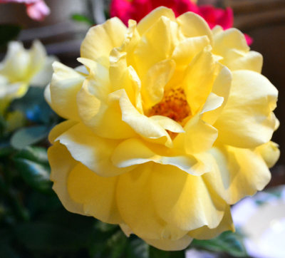 g4/25/921525/3/137729852.C8mc1B8n.jpg