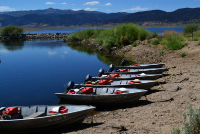 Eastern Sierra's