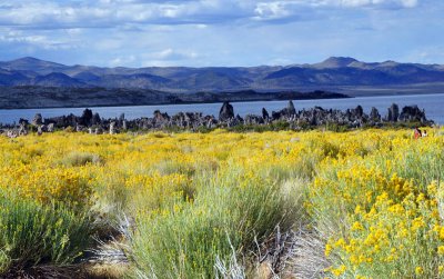 LeeVining- Mono LakeTufas