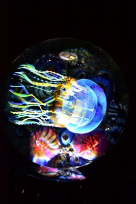 g4/25/921525/3/137893037.0TUtLusx.jpg