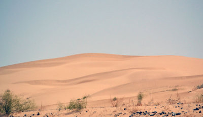 Sand-dunes.