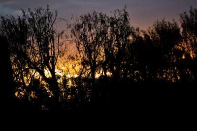 Another-sunset