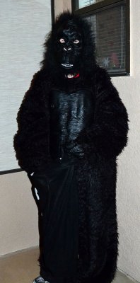 Grilla-Suit