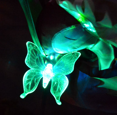 green-butterfly