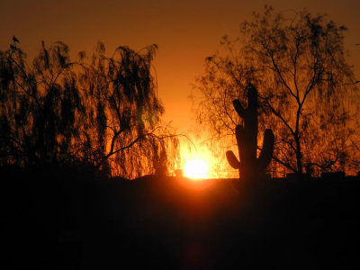 June 5, 2012   Sunset as Venus crosses the sun face