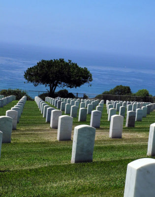 Dept-of-Defense-National-Cemetary
