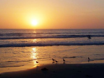 sea-sunset.in Imperial Beach