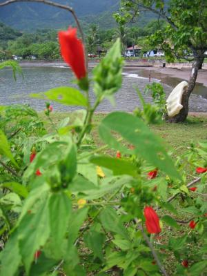 Nuku Hiva - Bay of Taiohae