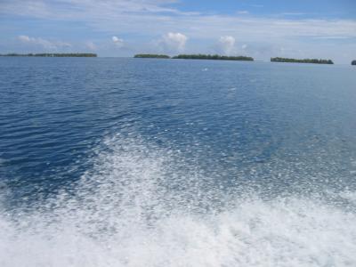 g4/26/1026/3/59241723.TahitiIMG_0342.jpg