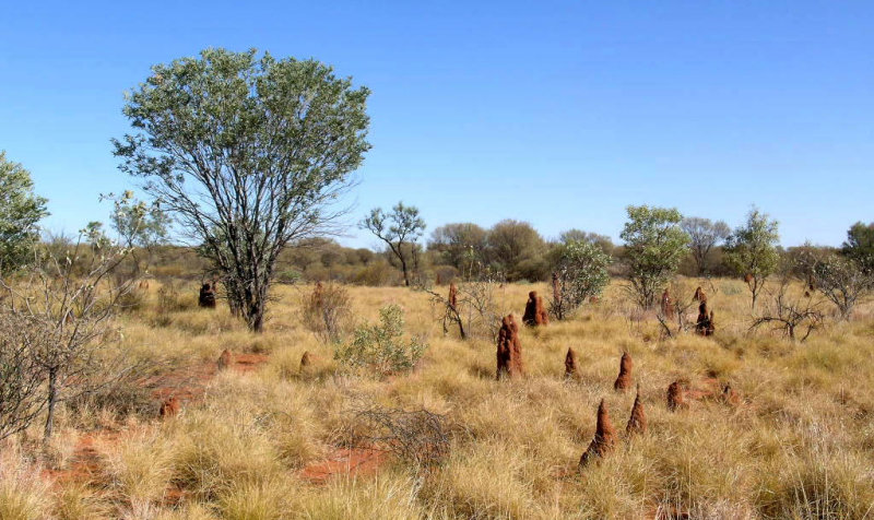 southern edge of Tanami Desert