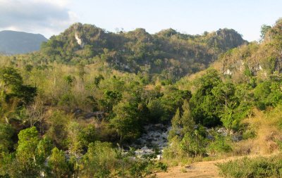 Loihuna landscape