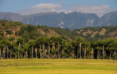 landscape near Laga with Mt Matebian