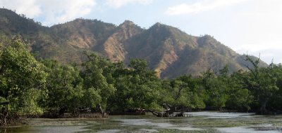 mangroves and savanna hills