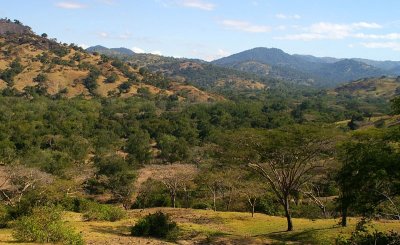 landscape near Laleia