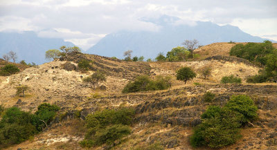 arid Baucau landscape & Mt Matebian