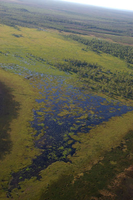Finniss River wetlands