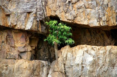 Katherine Gorge rocks